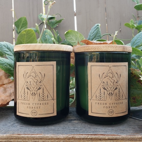 DW Home Accents Dw Home Fresh Cypress Forest Christmas Candles